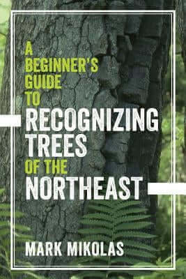 A Beginner's Guide to Recognizing Trees of the Northeast Paperback Countryman Press