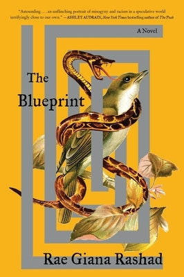 The Blueprint Paperback Harper Perennial