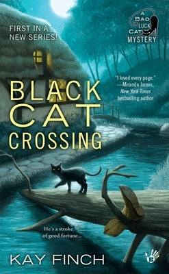 Black Cat Crossing by Finch, Kay