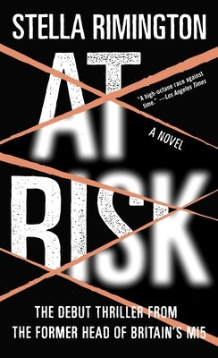 Cover of "At Risk" by Knopf Doubleday Publishing Group, a mass market paperback book with bold title text on the front cover.