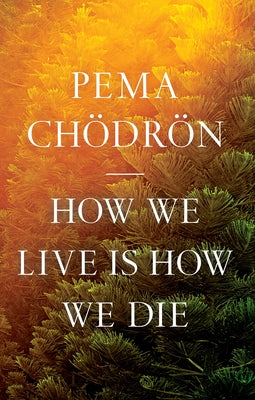 Paperback of "How We Live Is How We Die" by Shambhala, featuring the book cover with title and author on a plain background.