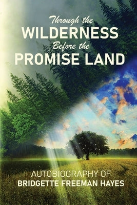 Through the Wilderness Before the Promise Land by Freeman-Hayes, Bridgette