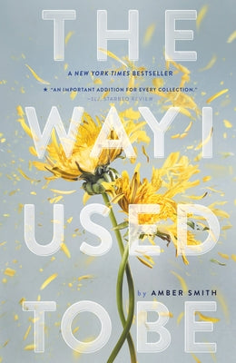The Way I Used to Be Paperback Margaret K. McElderry Books