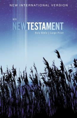 Large print Zondervan Outreach New Testament Bible in paperback, displaying the cover with the title and Zondervan branding.
