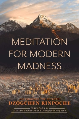 Meditation for Modern Madness Paperback Wisdom Publications