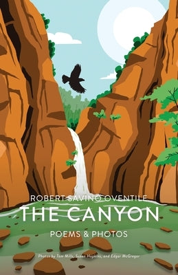 The Canyon by Oventile, Robert Savino