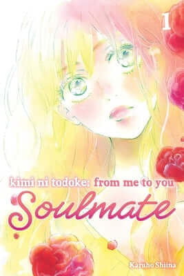 Kimi Ni Todoke: From Me to You: Soulmate, Vol. 1 Paperback Viz Media