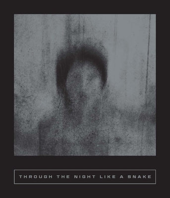 Paperback of "Through the Night Like a Snake: Latin American Horror Stories" by Two Lines Press, featuring dark, atmospheric cover art.