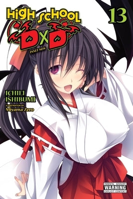 High School DXD, Vol. 13 (Light Novel): Volume 13 by Ishibumi, Ichiei