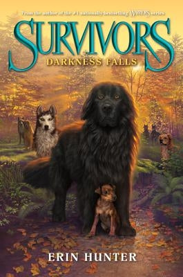 Darkness Falls paperback by HarperCollins featuring a dark, moody cover with mysterious imagery and atmospheric artwork.