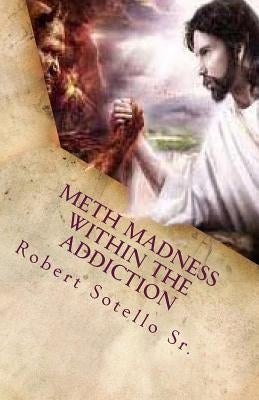 METH Madness Within The Addiction by Sotello Sr, Robert