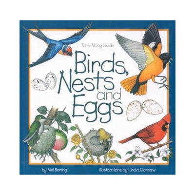 Birds, Nests & Eggs Paperback Cooper Square Pub