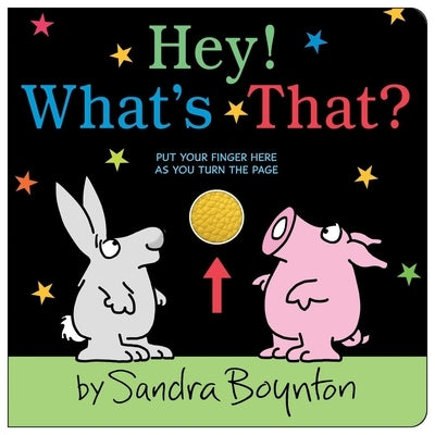 Colorful Hey! What's That? board book by Boynton Bookworks featuring fun animal illustrations for young children.