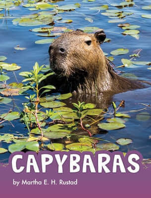 Capybaras Paperback Pebble Books