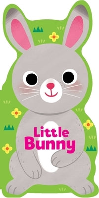 Little Bunny Board Book Silver Dolphin Books