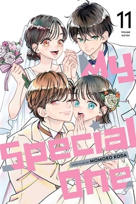 Paperback of My Special One, Vol. 11 manga by Viz Media featuring colorful cover art with characters from the series.