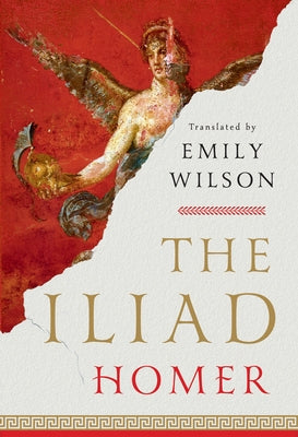 Paperback copy of The Iliad by W. W. Norton & Company featuring a classical Greek-themed cover design.