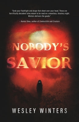 Nobody's Savior by Winters, Wesley