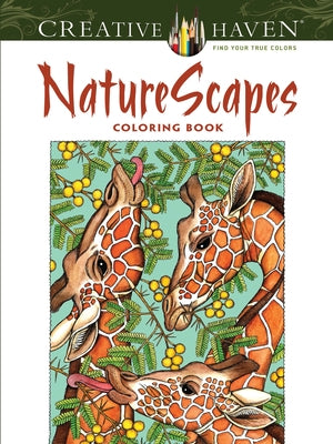 NatureScapes paperback book by Dover Publications featuring vibrant nature illustrations on the cover.