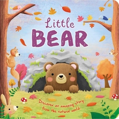 Nature Stories: Little Bear-Discover an Amazing Story from the Natural World: Padded Board Book Board Book Igloo Books