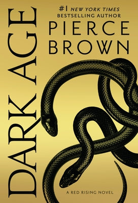 Dark Age paperback novel by Del Rey Books featuring a dark, atmospheric cover art with fantasy-themed imagery.