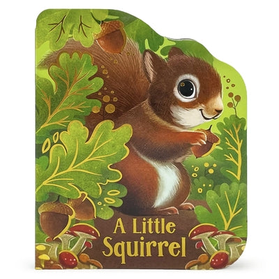 A Little Squirrel Board Book Cottage Door Press
