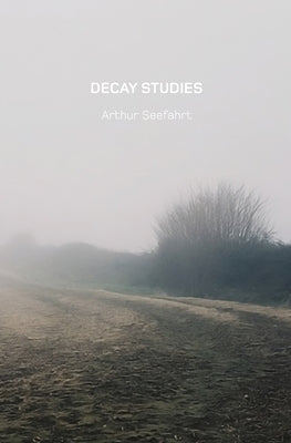 Decay Studies U.S. Edition Paperback Six Gallery Press