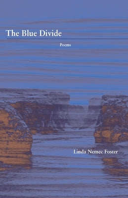 The Blue Divide by Foster, Linda Nemec