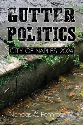 Gutter Politics Paperback Barringer Publishing/Schlesinger Advertising