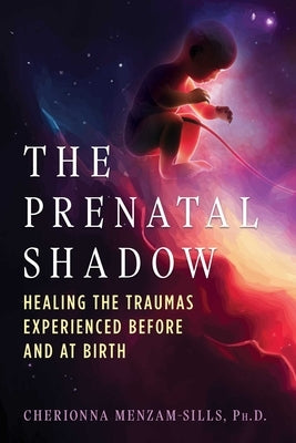 Paperback of The Prenatal Shadow book by Park Street Press, featuring a cover with calming colors and abstract design.