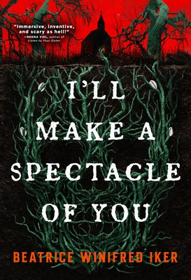 Paperback book titled "I'll Make a Spectacle of You" by Run for It, featuring a colorful cover with artistic design.