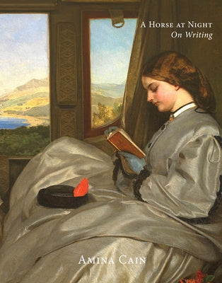 A Horse at Night: On Writing Paperback Dorothy a Publishing Project