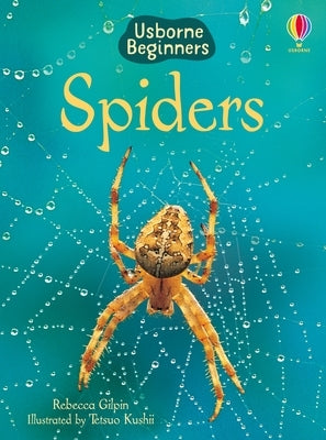 Spiders Paperback Usborne Books