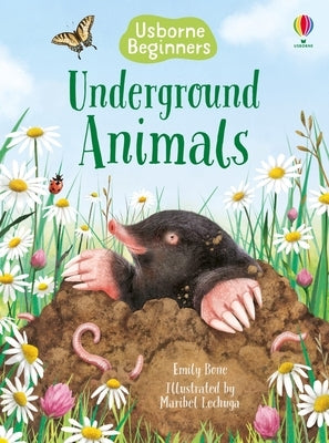 Underground Animals Paperback Usborne Books
