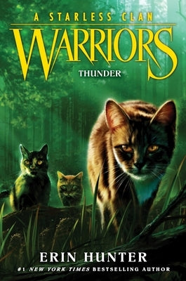 Warriors: A Starless Clan #4: Thunder Paperback HarperCollins