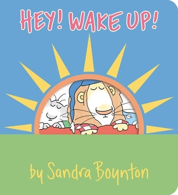 Bright colorful cover of the "Hey! Wake Up!" board book by Boynton Bookworks, featuring playful illustrations for young children.