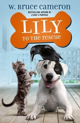 Paperback of Lily to the Rescue by Odd Dot featuring colorful cover art with a girl and rescue scene.