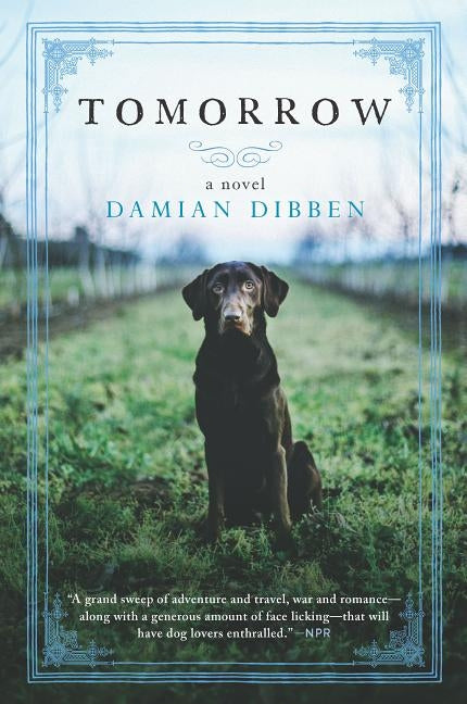 Tomorrow by Dibben, Damian