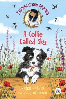 Paperback copy of "Jasmine Green Rescues: A Collie Called Sky" by Walker Books US, showing the book cover with illustrations.