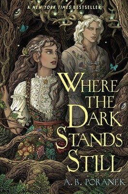 Where the Dark Stands Still Paperback Margaret K. McElderry Books