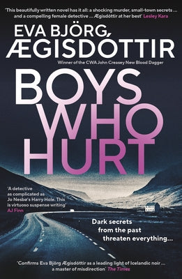 Boys Who Hurt: Volume 5 by Ægisdóttir, Eva Björg
