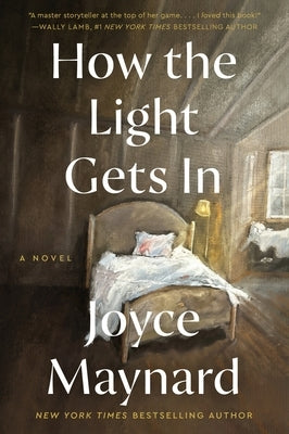 Paperback of "How the Light Gets in" by William Morrow & Company, showing the book cover with title and author details.