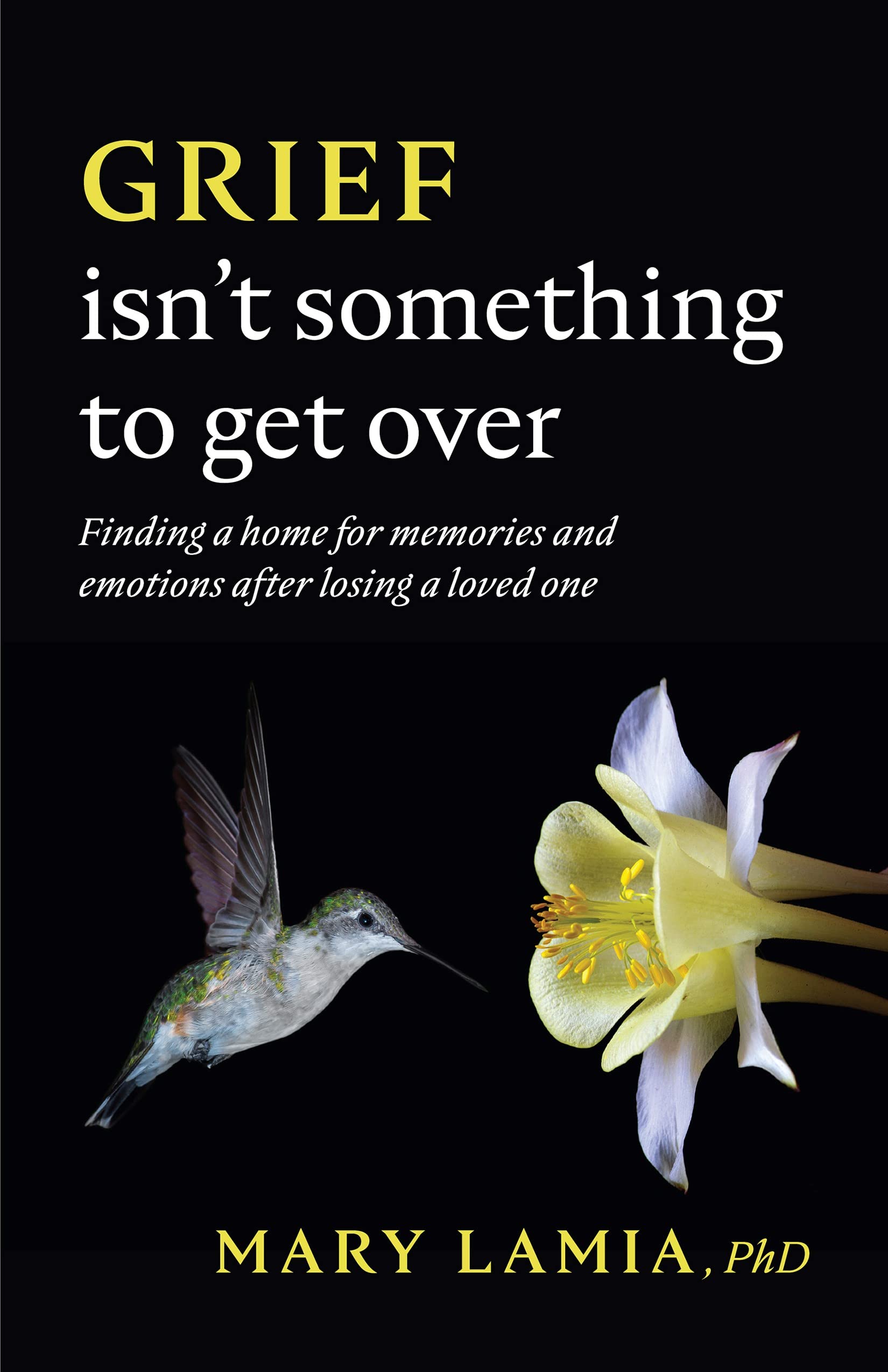 Grief Isn't Something to Get Over: Finding a Home for Memories and Emotions After Losing a Loved One Paperback American Psychological Association (APA)