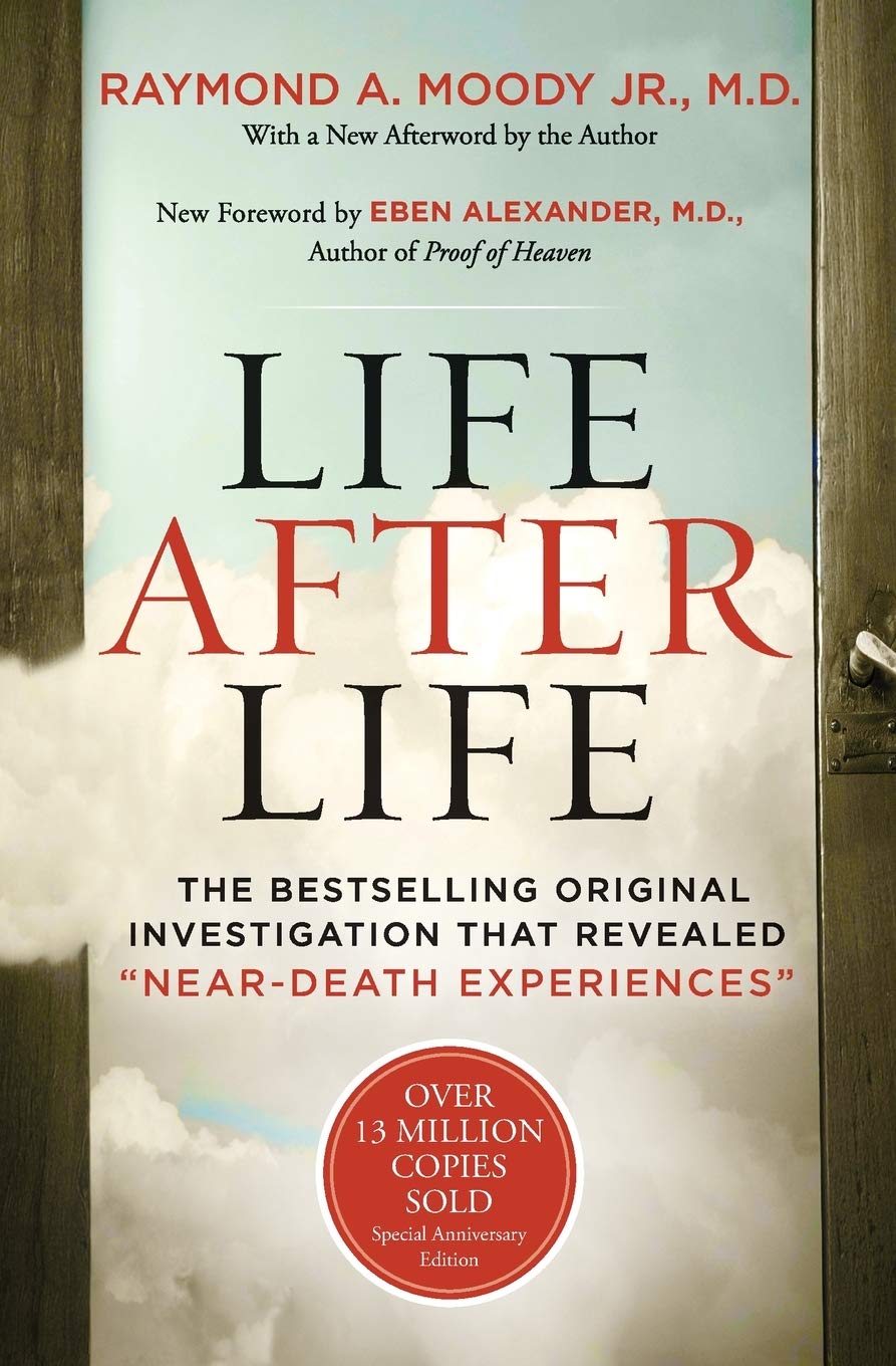 Life After Life - SureShot Books Publishing LLC