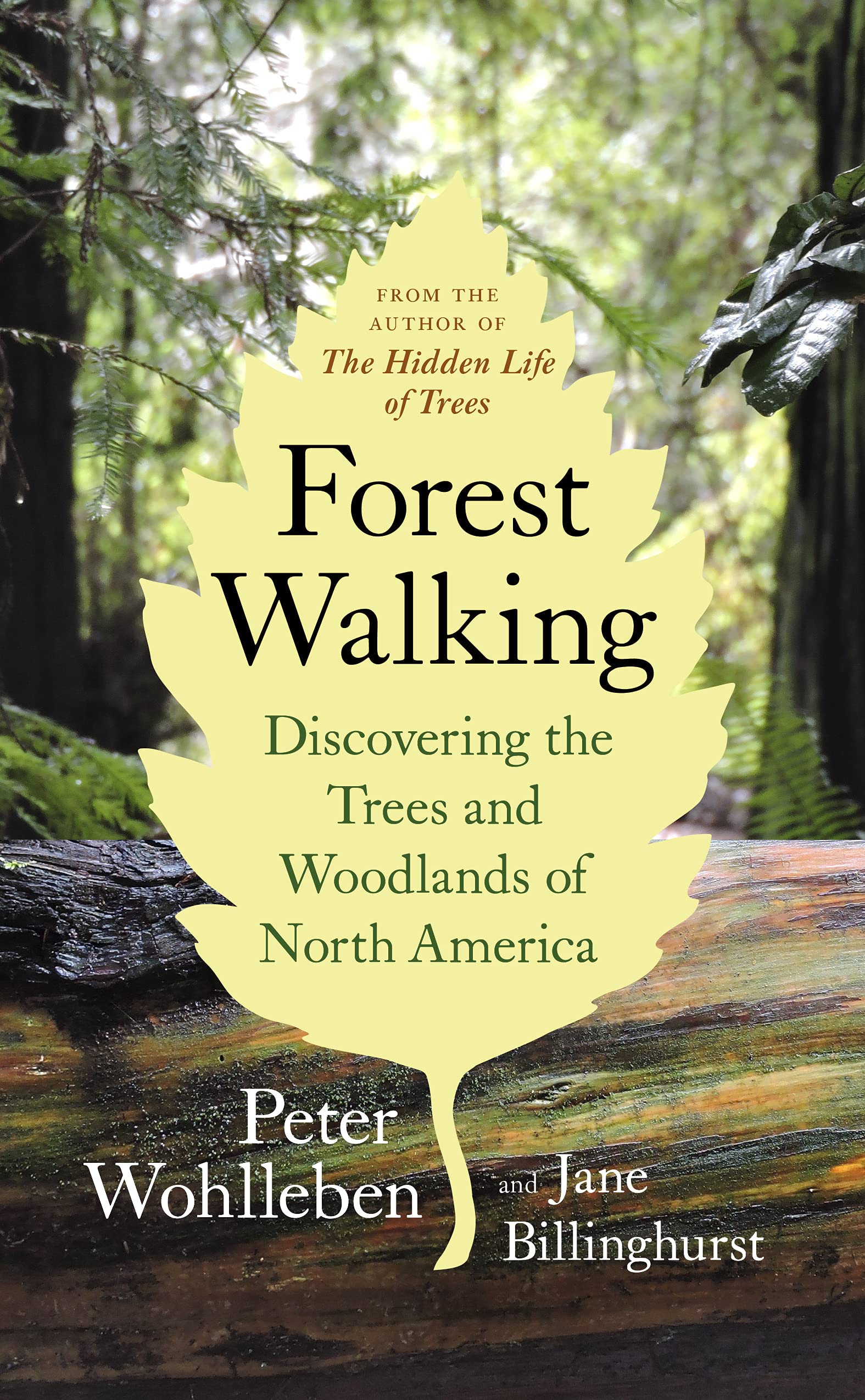 Forest Walking: Discovering the Trees and Woodlands of North America SureShot Books Publishing LLC