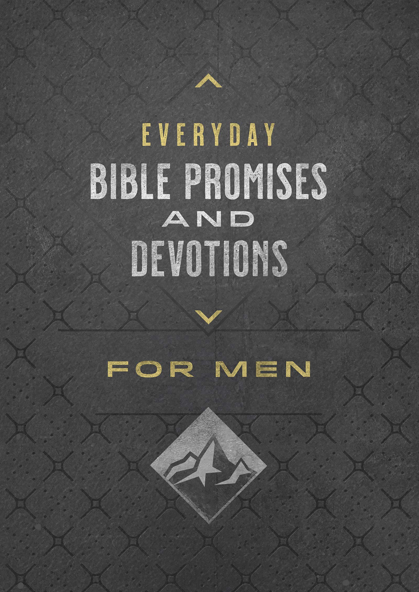 Everyday Bible Promises and Devotions for Men - SureShot Books Publishing LLC
