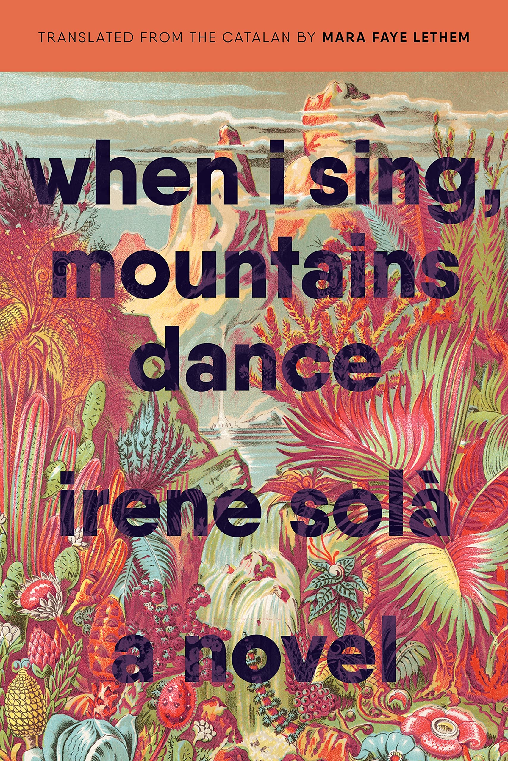When I Sing, Mountains Dance - SureShot Books Publishing LLC