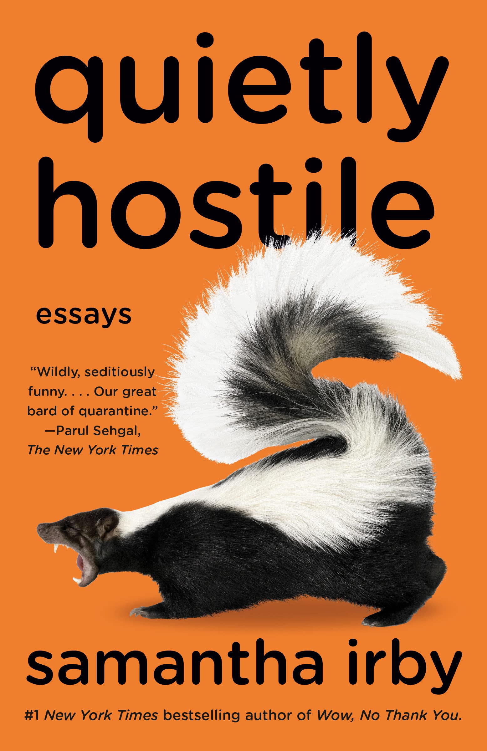 Quietly Hostile SureShot Books