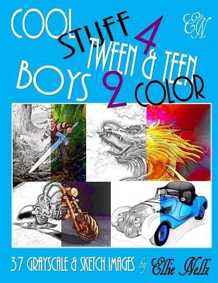 Paperback book titled "Cool Stuff 4 Tween & Teen Boys" with a colorful cover featuring playful design elements.