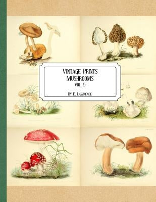 Vintage Prints Mushrooms Vol. 5 paperback book with vintage mushroom illustrations on the cover.